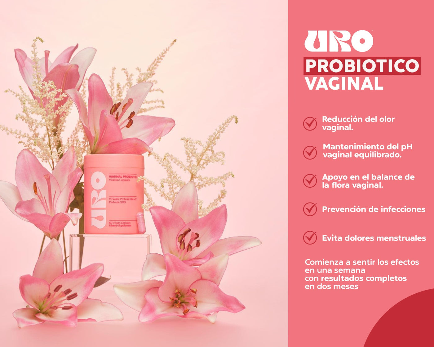 Vaginal probiotic® | Salud íntima Equilibrada, sin preocupaciones